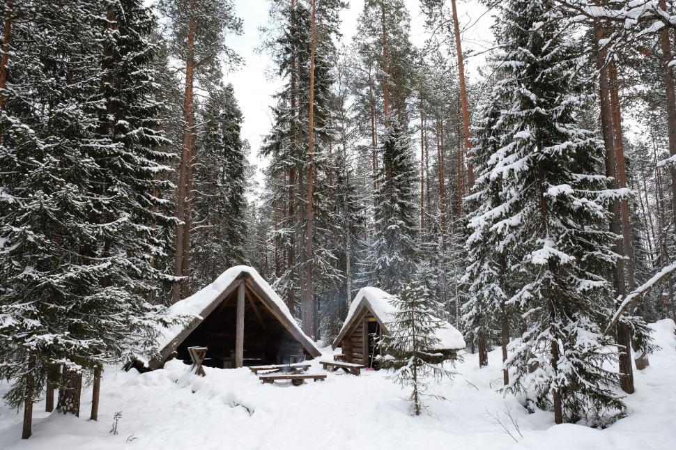 Free Image of Snow-Covered Cabin in the Woods 