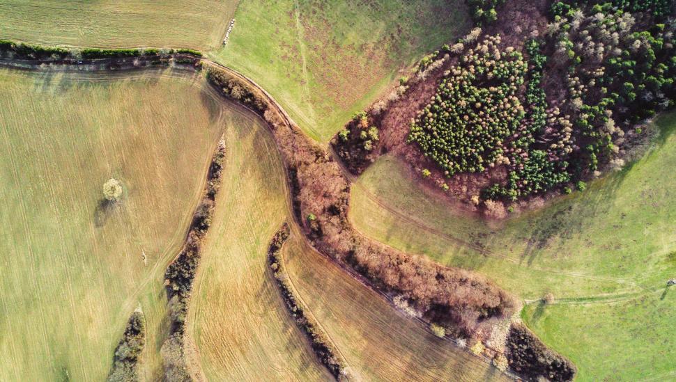 Free Image of Aerial View of a Green Field With Trees 