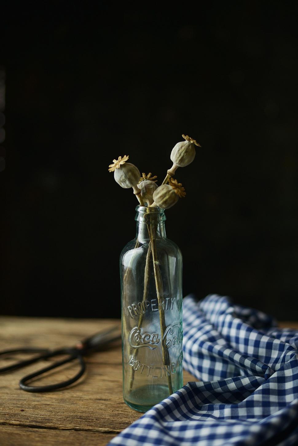 Free Image of Glass Bottle With Dried Flowers 