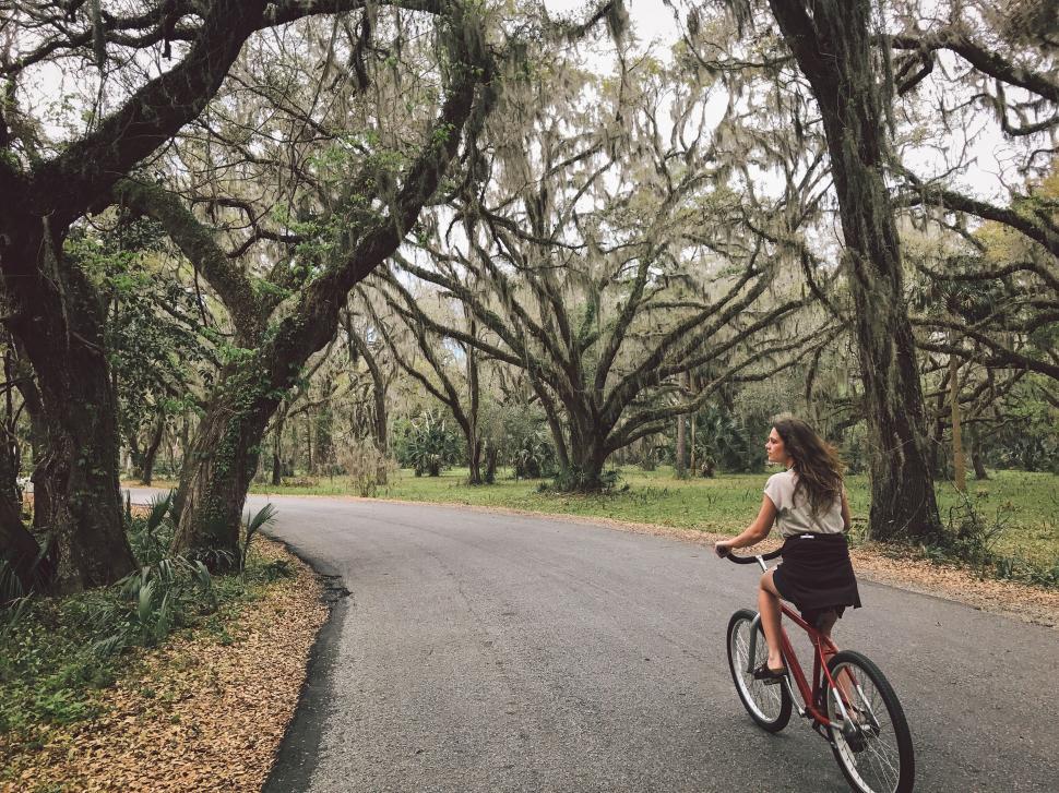 Free Image of Woman Riding Bike Down Tree-Lined Road 