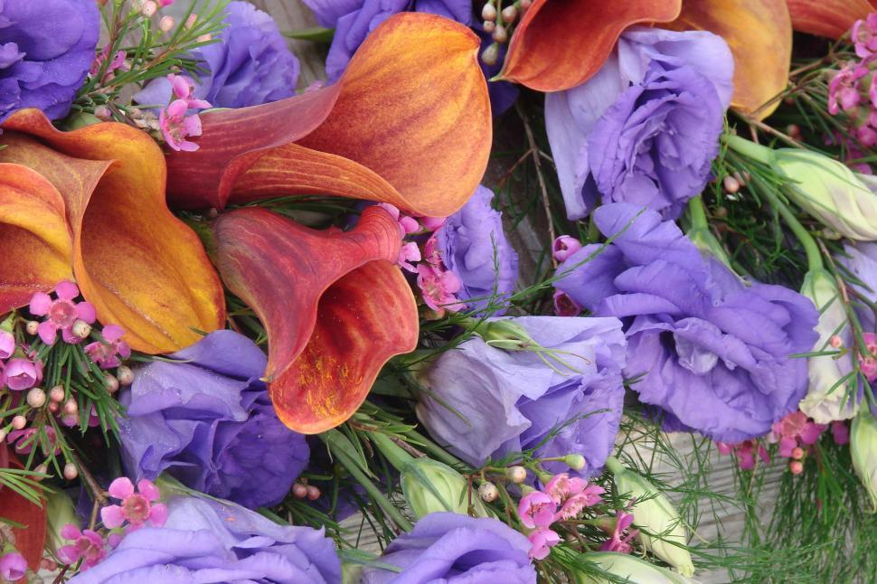 Free Image of Close Up of a Bouquet of Flowers 