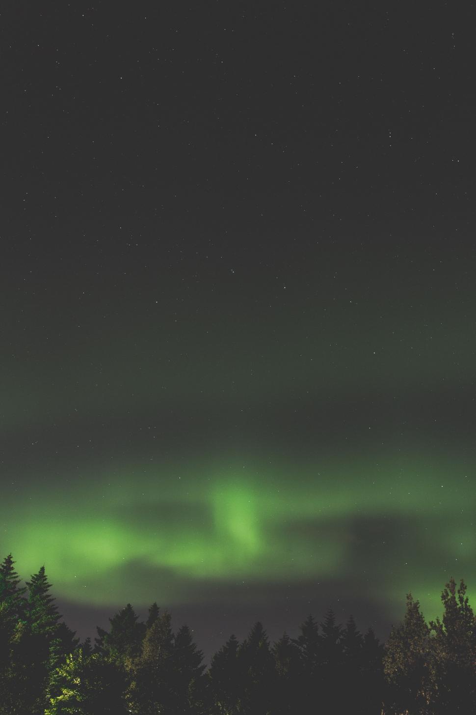 Free Image of Green and Black Aurora Bore 