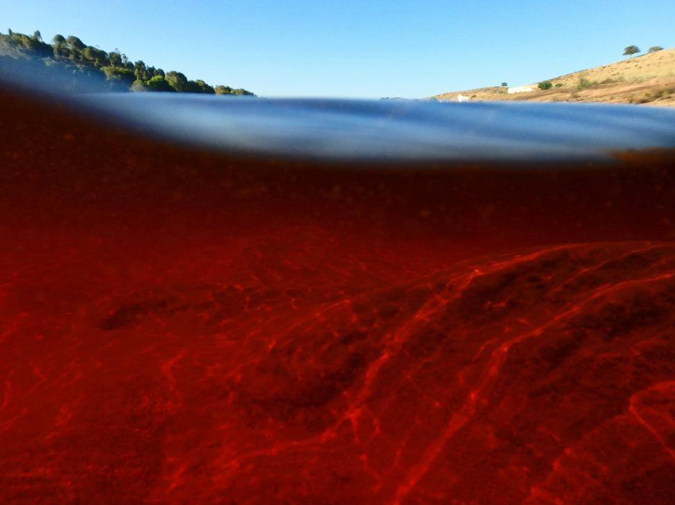 Free Image of Red Substance in Body of Water 