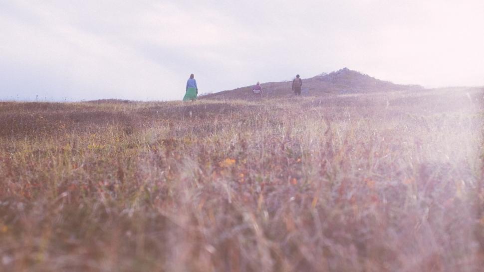 Free Image of Person Standing in a Field of Tall Grass 