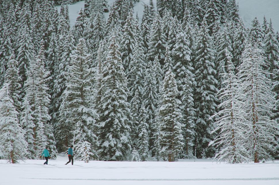 Free Image of Couple Skiing Across Snow Covered Slope 