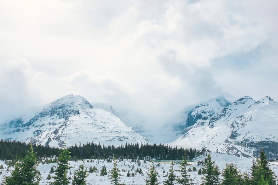Free Image of Snow Covered Mountain Range With Trees 