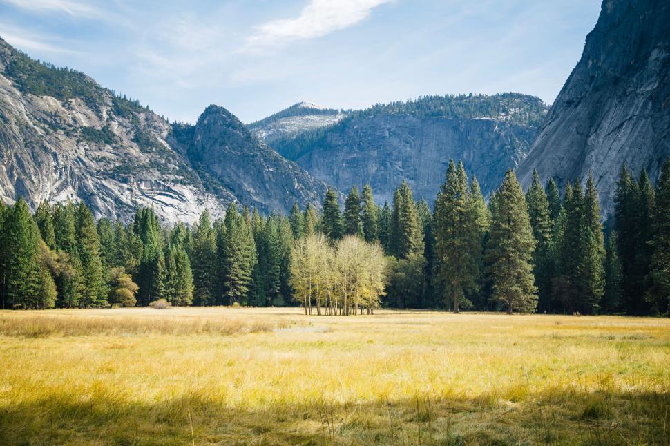 Free Image of Field With Trees and Mountains 