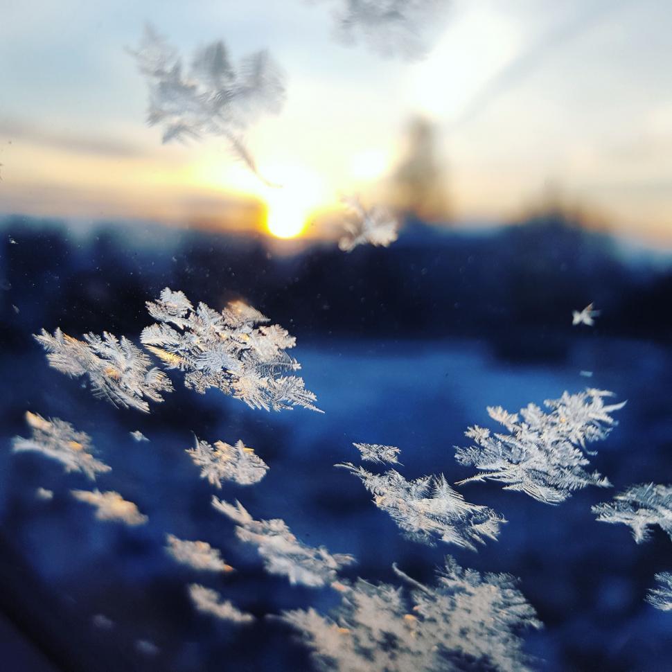 Free Image of Frosted Window With Setting Sun 