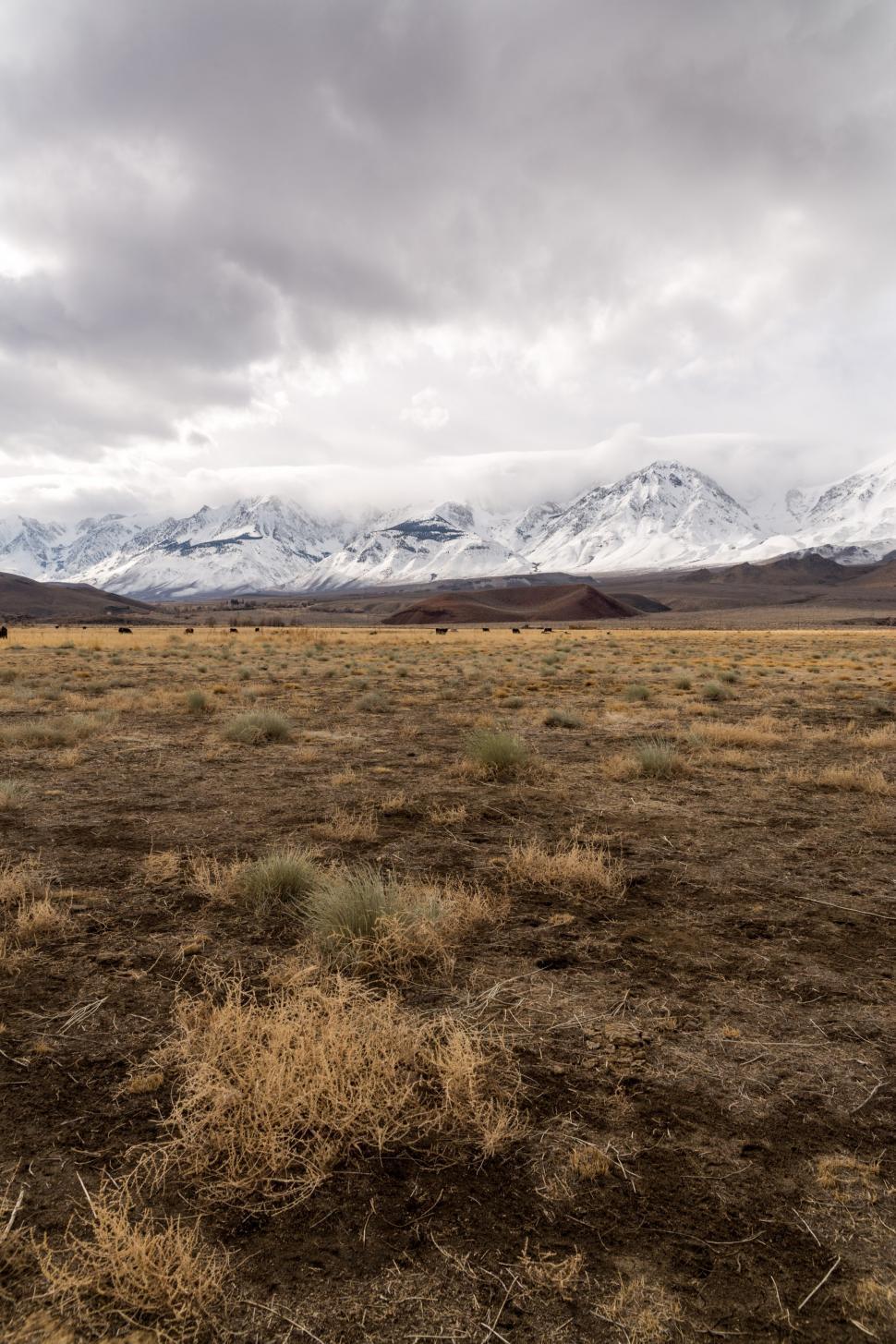 Free Image of Expansive Field With Background Mountains 