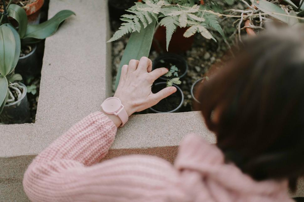 Free Image of Woman in Pink Sweater Reaching for Plant 
