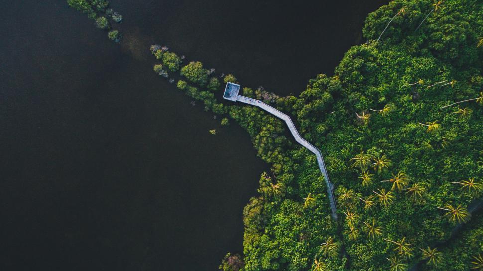 Free Image of Aerial View of River Flowing Through Lush Green Forest 