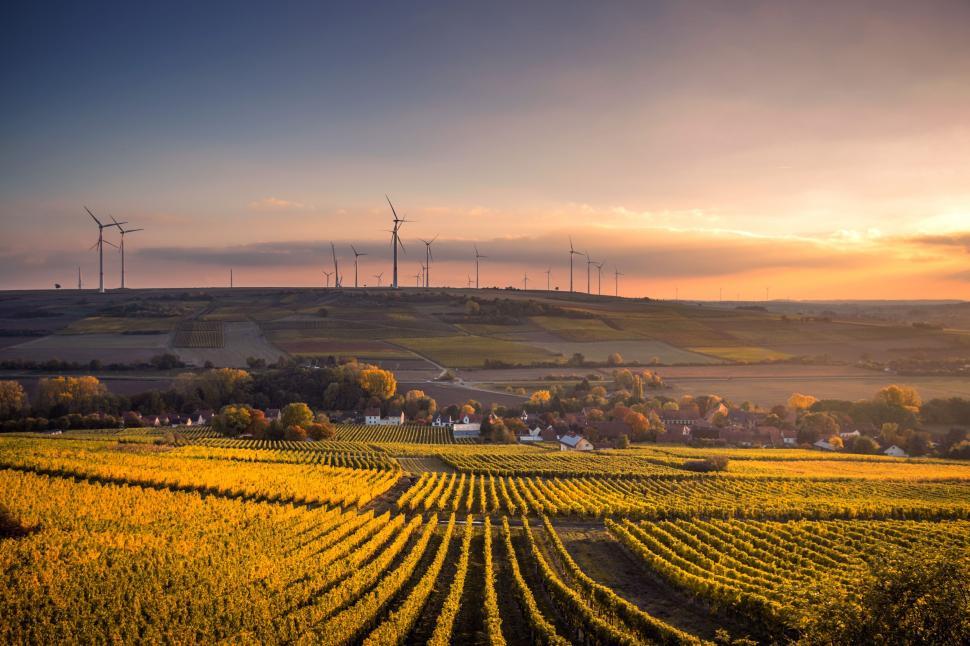 Free Image of Wind Turbines Overlooking Field of Crops 