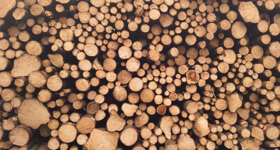Free Image of Stack of Logs 