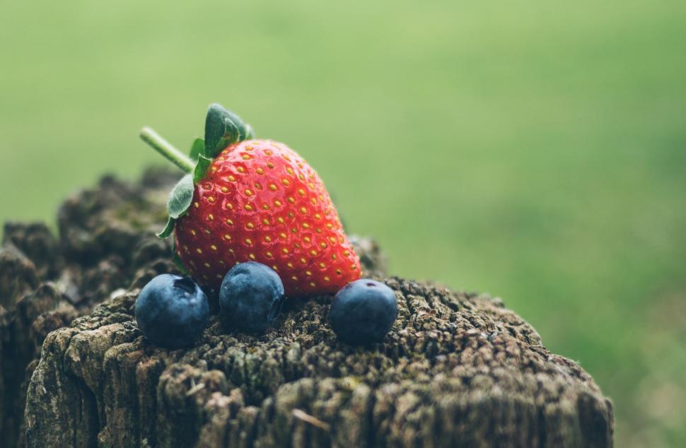 Free Image of Red Strawberry on Wooden Stump 