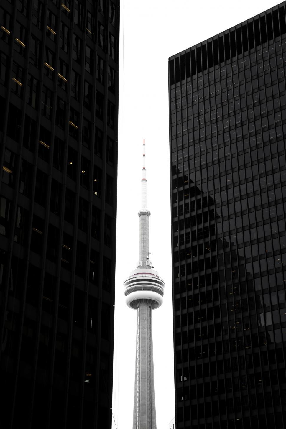 Free Image of Black and White Photo of the CN Tower in Toronto 