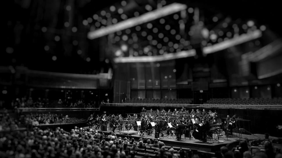 Free Image of Concert in Black and White 