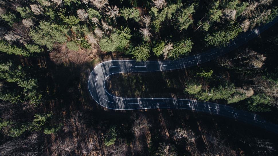 Free Image of A Winding Road Through a Forest 