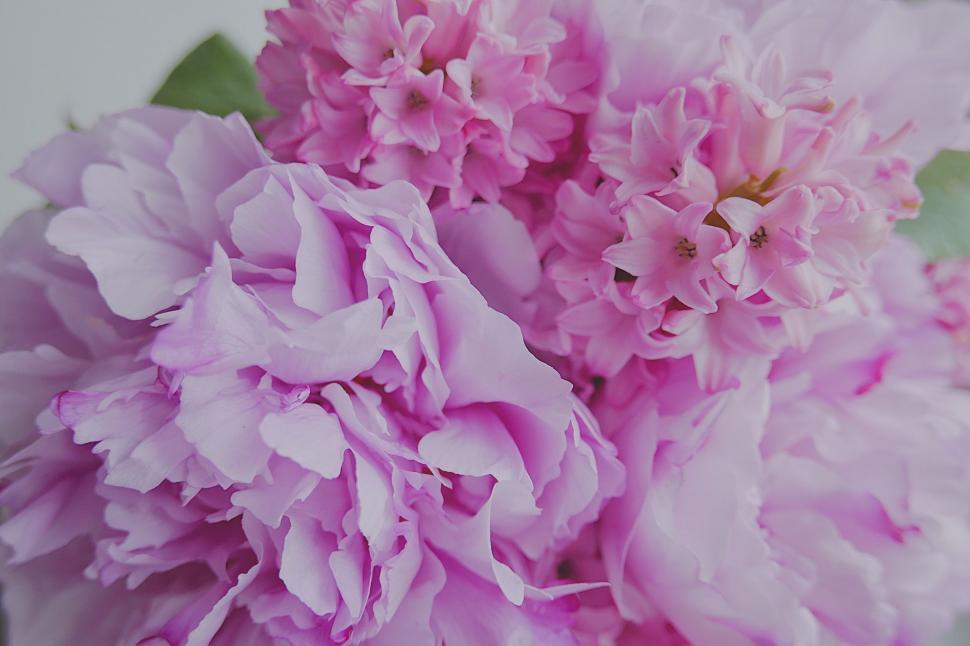 Free Image of Bouquet of Pink Flowers on Table 