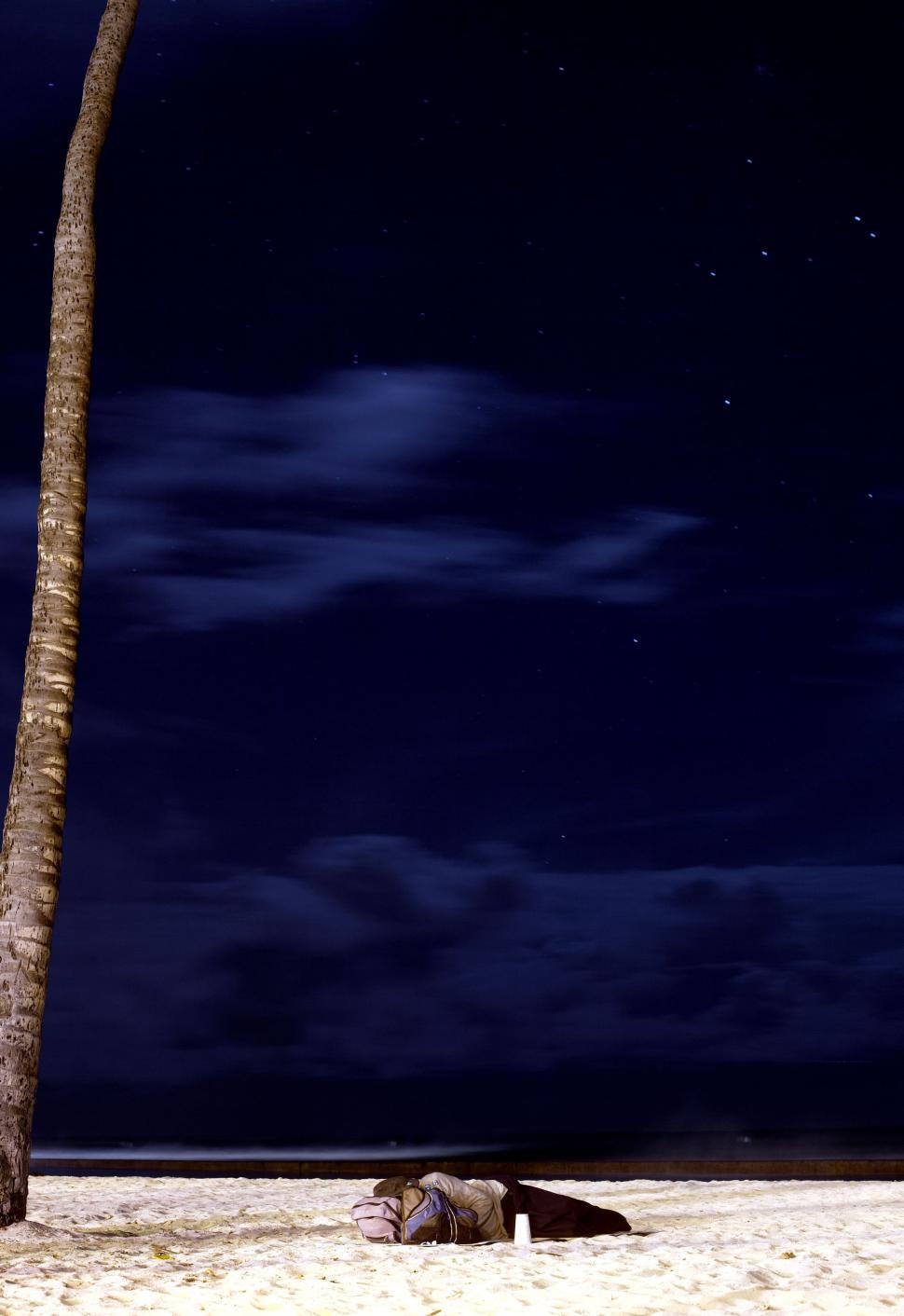 Free Image of Palm Tree on a Beach at Night 