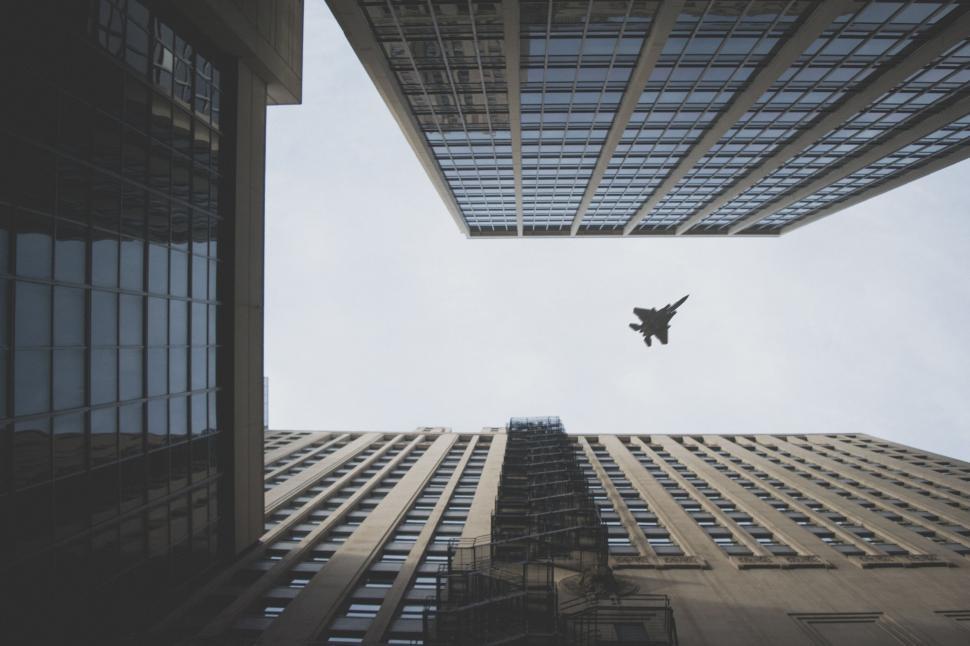 Free Image of Bird Flying Between Two Tall Buildings 