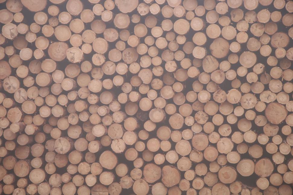 Free Image of Close Up of a Bunch of Wood Logs 