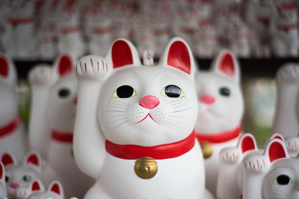 Free Image of Group of White Cats With Red Collars 