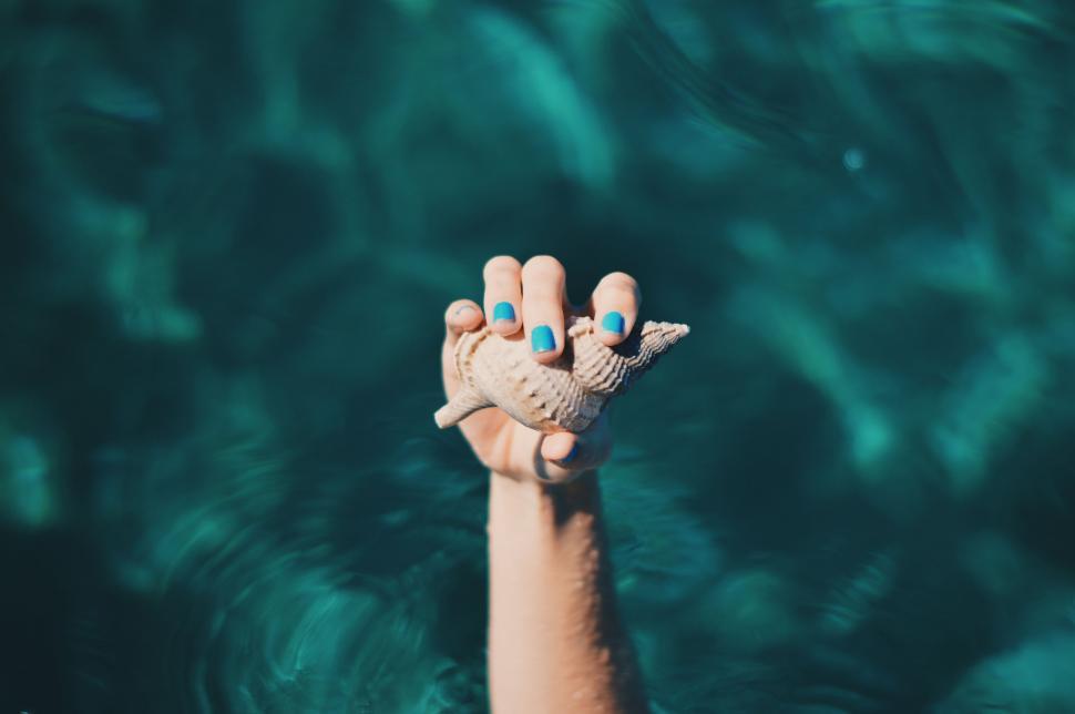 Free Image of Hand With Blue Nails Holding up Starfish 