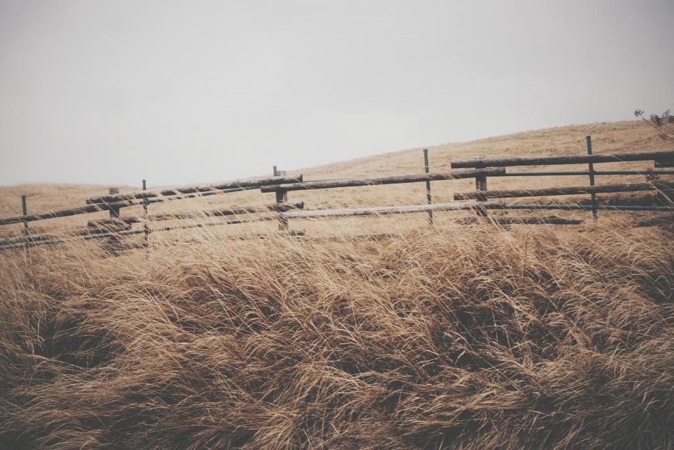 Free Image of Wooden Fence in a Field of Tall Grass 
