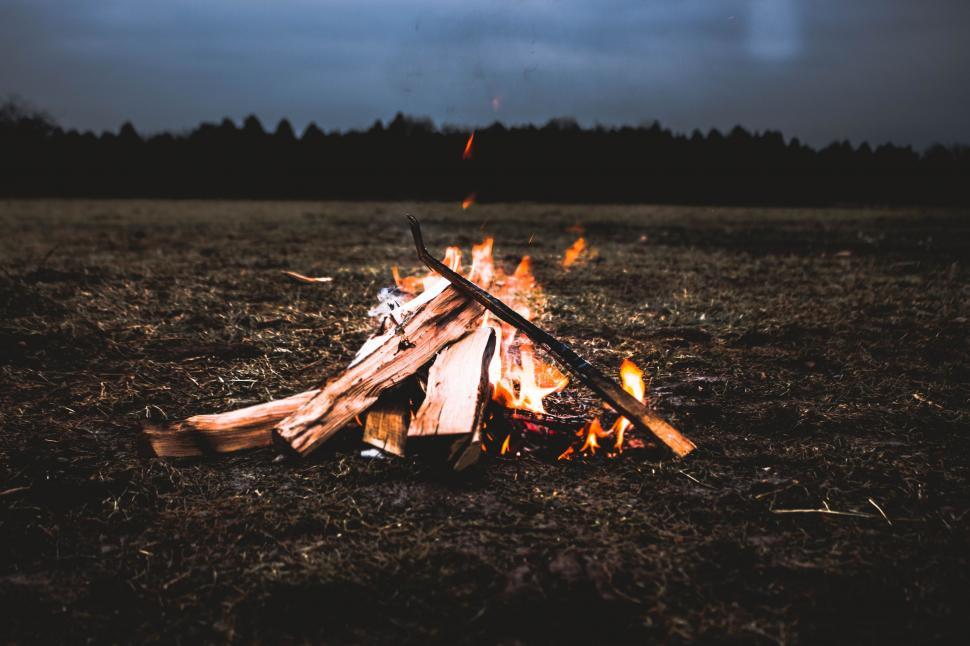 Free Image of Campfire Burning in Field 