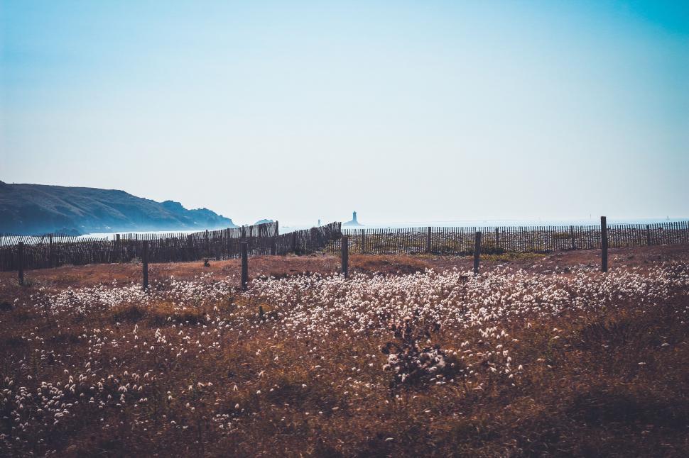 Free Image of Field of Wildflowers With Fence 