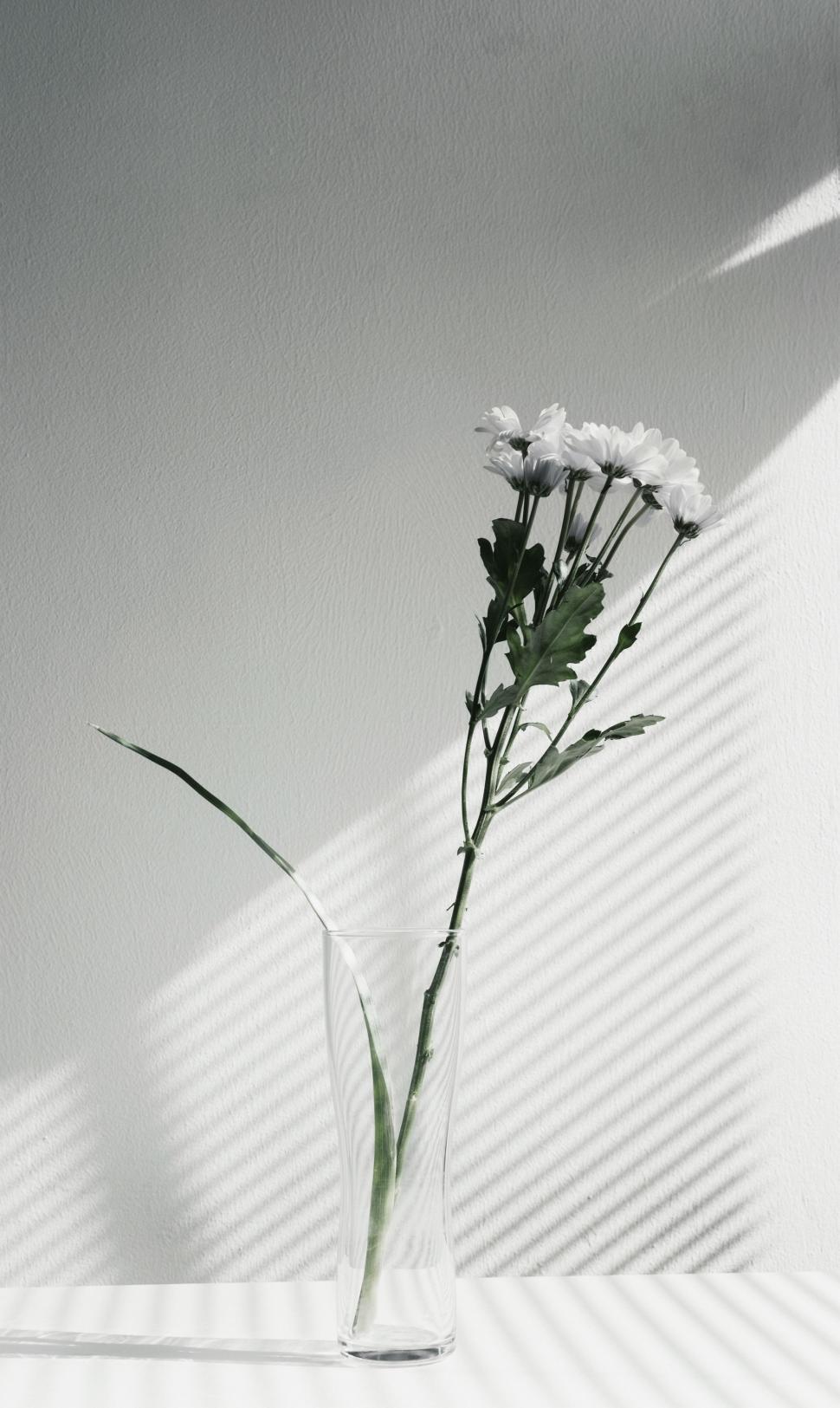 Free Image of Flower in Vase 