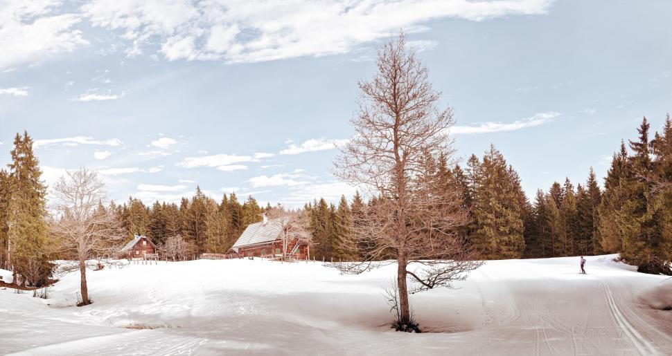 Free Image of Snow Covered Field With Trees and House in Distance 