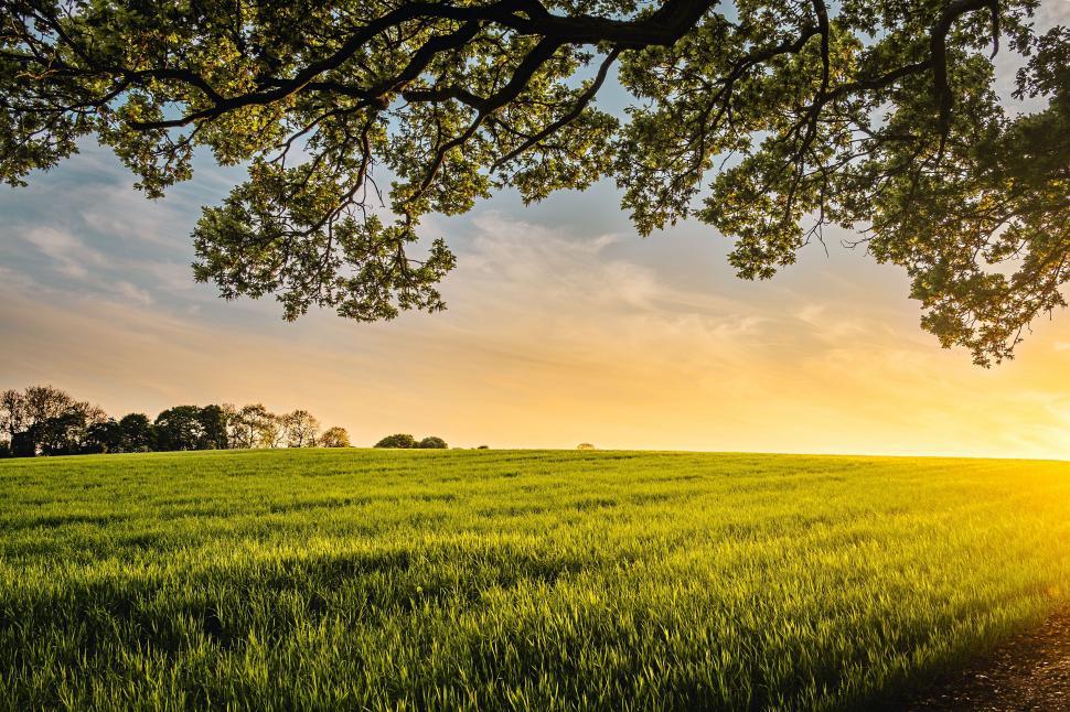 Free Image of Sun Setting Over Green Field 