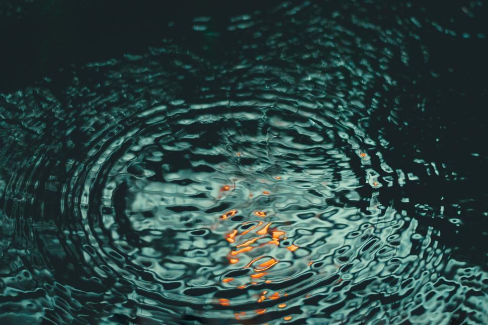 Free Image of Close Up of Water With Orange Dots 