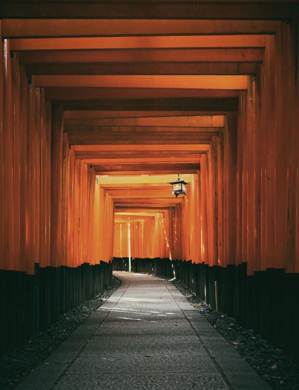 Free Image of Long Walkway With Tall Wooden Pillars 