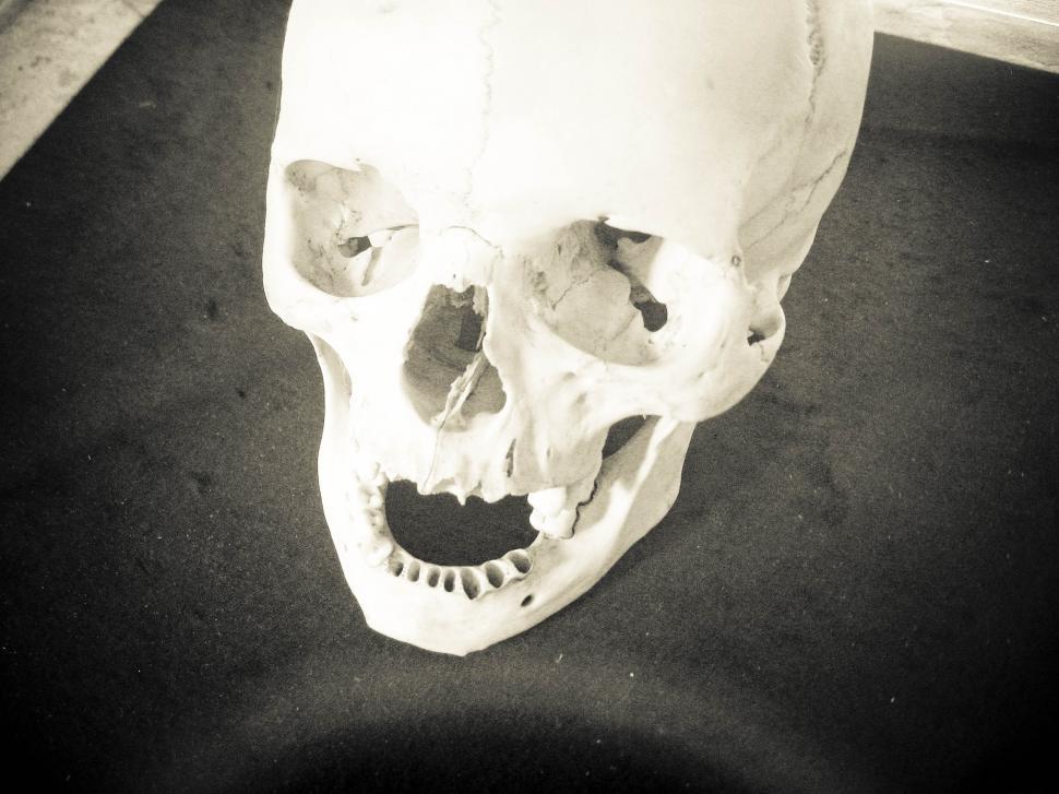 Free Image of skull on a table 