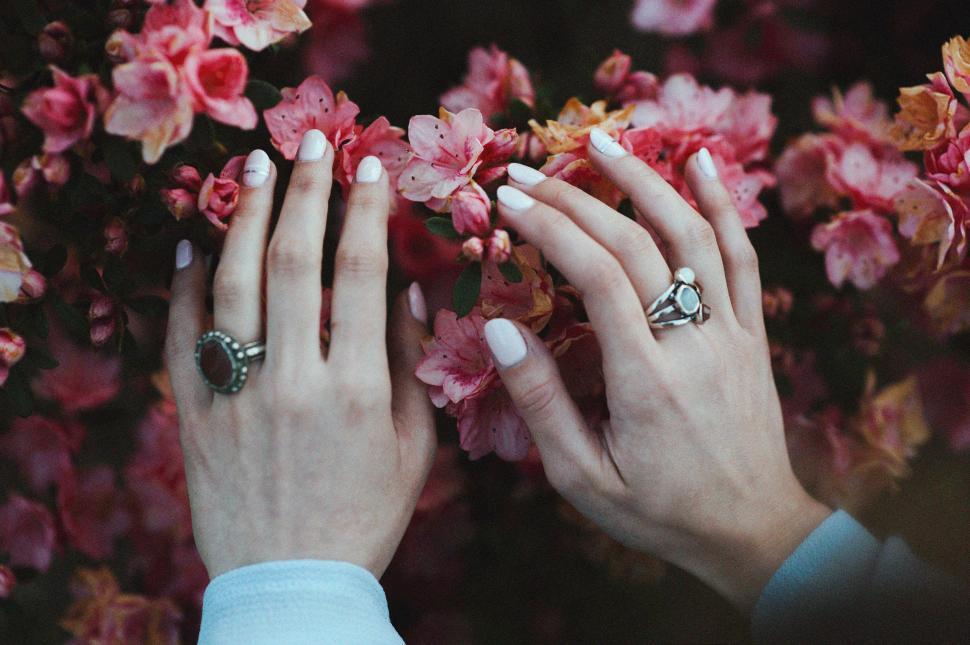 Free Image of Two Hands Touching With Flowers in the Background 