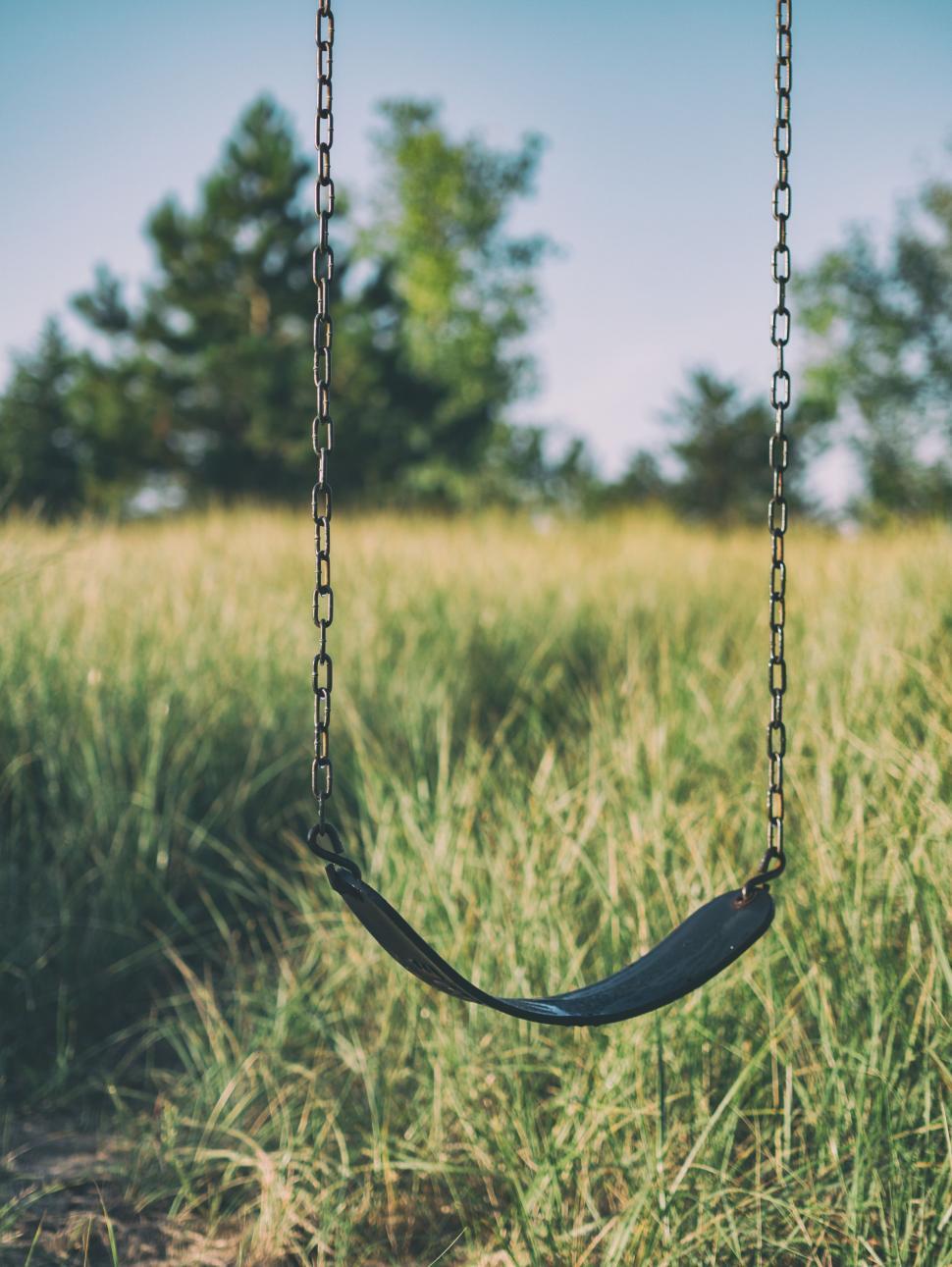 Free Image of Swing in Grassy Field With Trees 