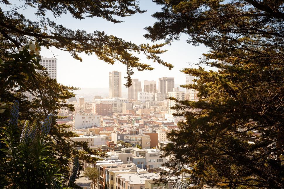 Free Image of Cityscape View Through Trees 