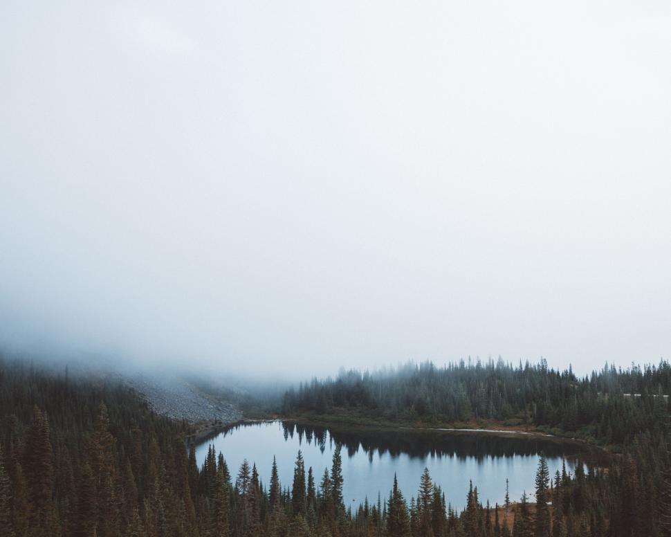 Free Image of Misty Lake Surrounded by Trees in a Forest 