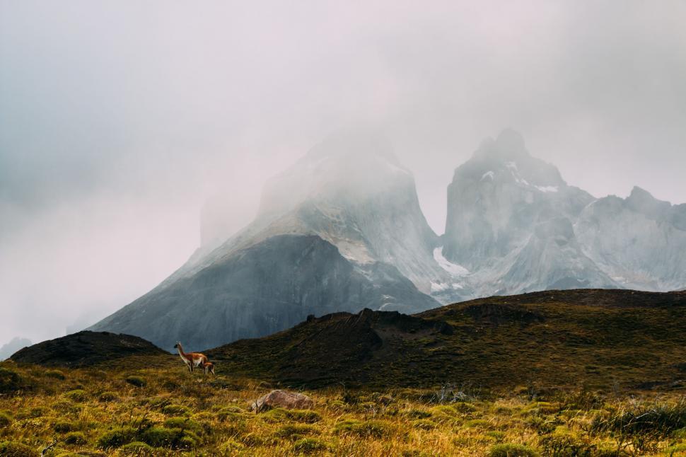 Free Image of Mountain Range Covered in Clouds and Grass 