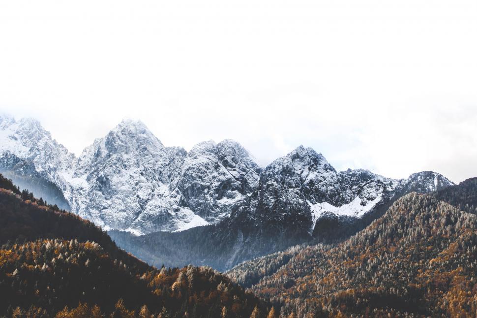 Free Image of Snow-Covered Mountains and Brown Trees 