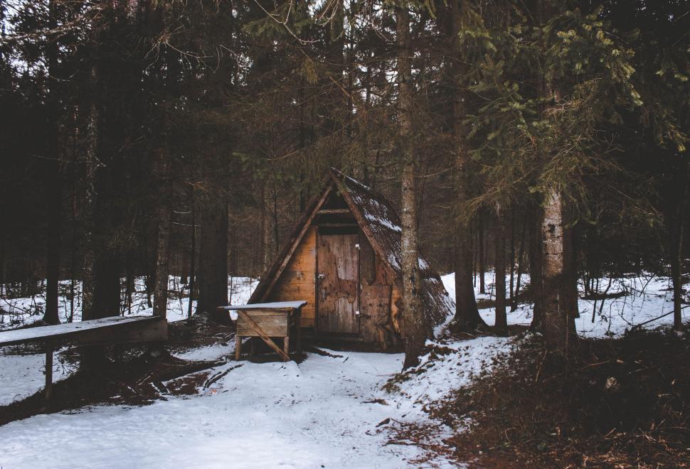 Free Image of Small Cabin in Snowy Forest 