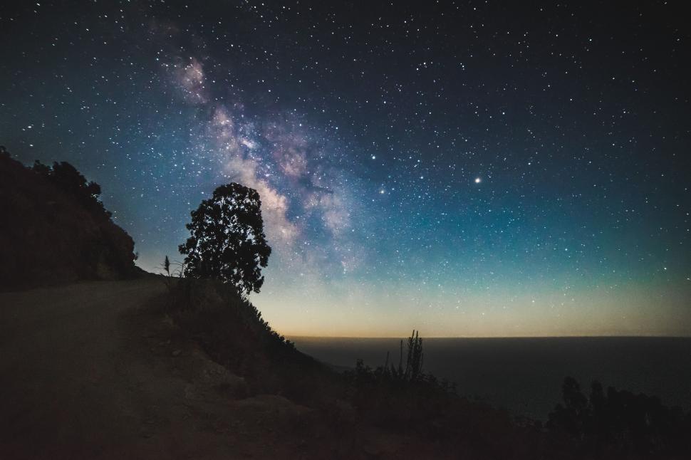 Free Image of Starry Night Sky Above Tree on Hill 