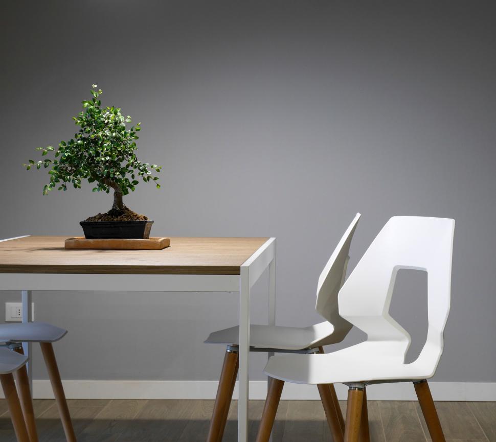 Free Image of Table With Two Chairs and Potted Plant 