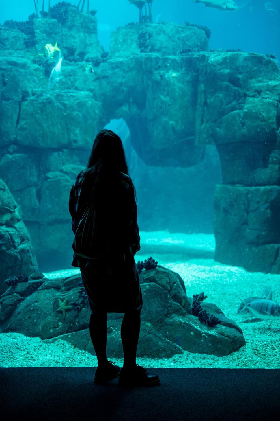 Free Image of Person Standing in Front of Large Aquarium 