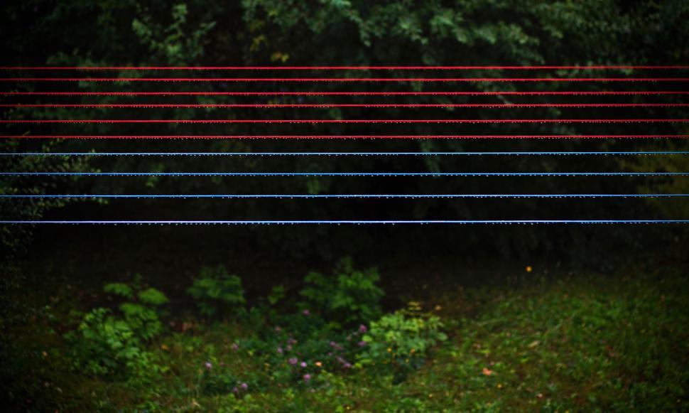 Free Image of Red and Blue Lines in the Grass 