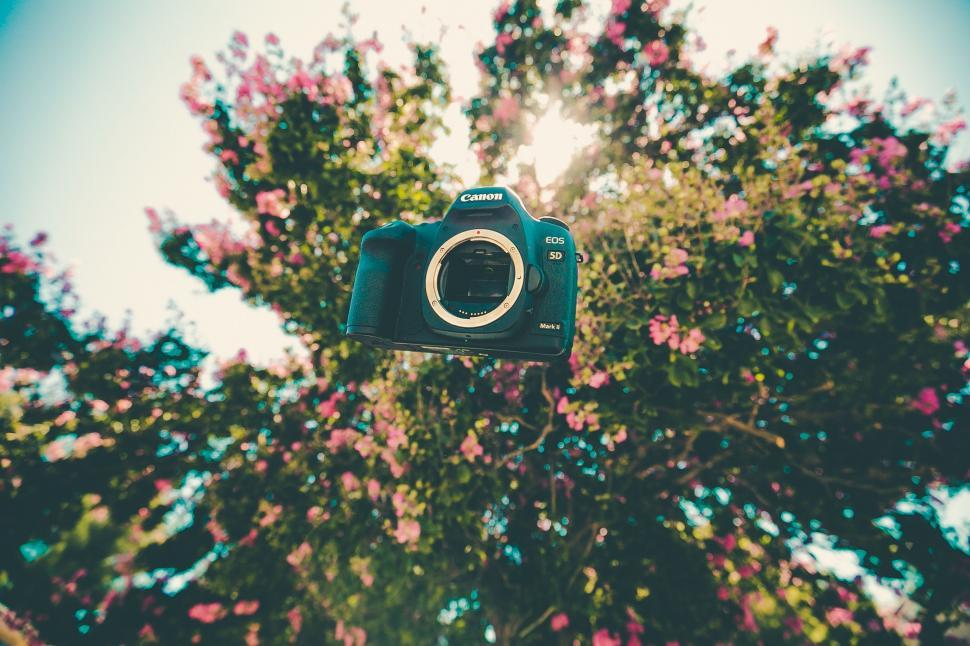 Free Image of Camera Hanging From Tree 