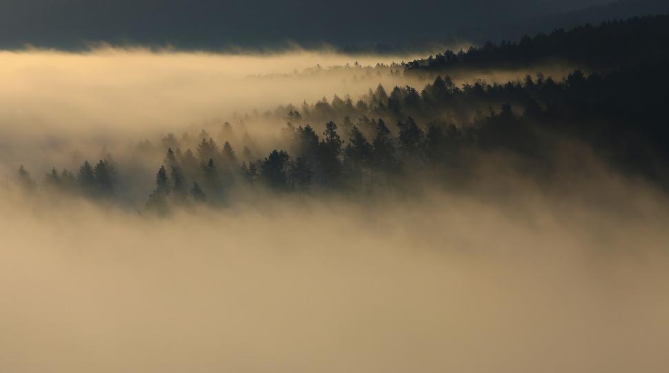 Free Image of Foggy Mountain With Trees in the Distance 