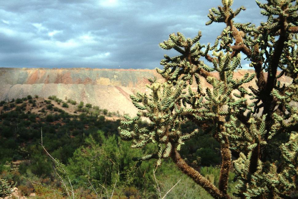 Free Image of Cholla cactus and mining operation 